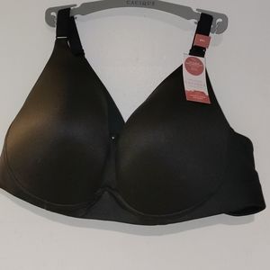 Lane bryant bra